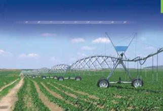 �������ֲ�ͬ��ˮ�����ص���ʲô